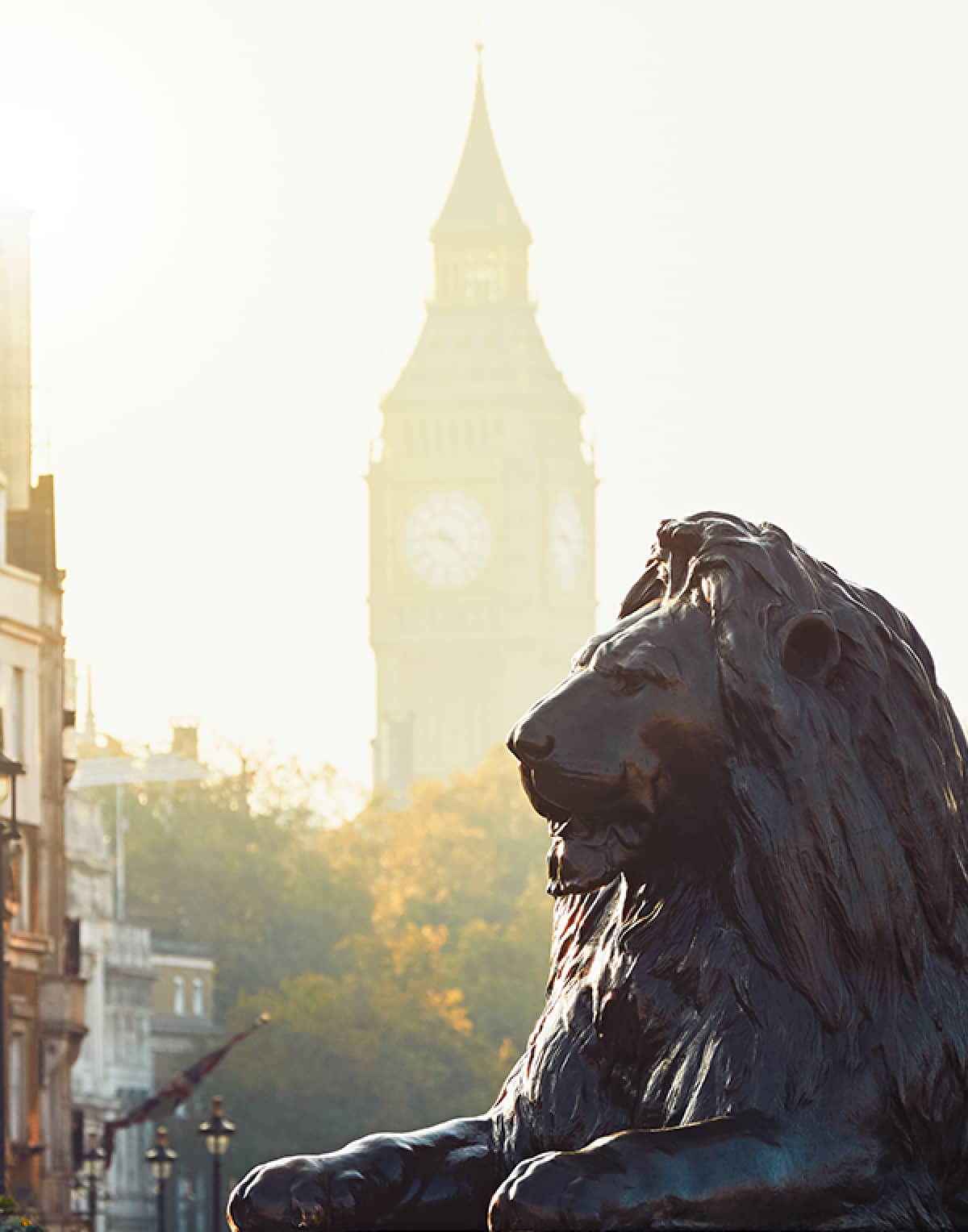 Лев лондон. Лев Англии. Щенок на фоне Лондона. Лев у Биг Бена. Девушка в деловом костюме и статуи Львов.